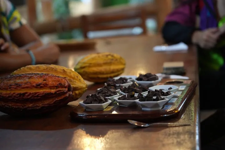 Fresh cacao pods and small dishes of chocolate pieces on a wooden table