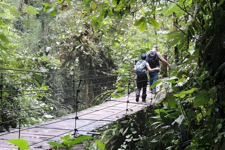 Twee wandelaars steken een hangbrug over in het dichte nevelwoud van Mindo.