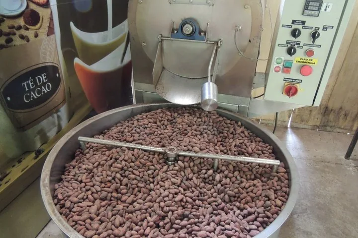 Granos de cacao tostándose en una gran máquina industrial durante un tour